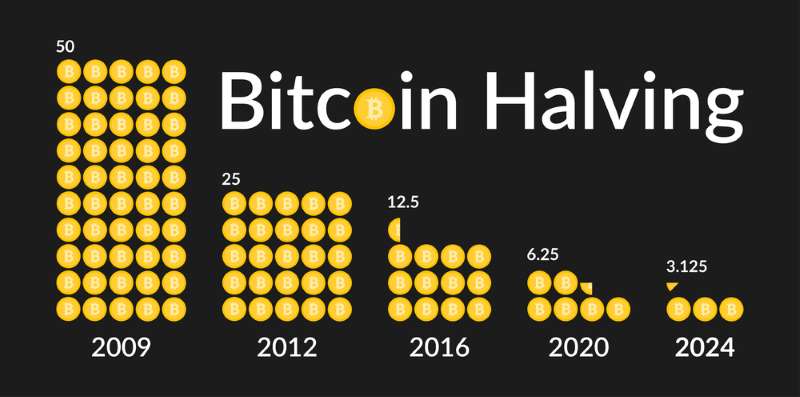 Bitcoin halving bar infograph